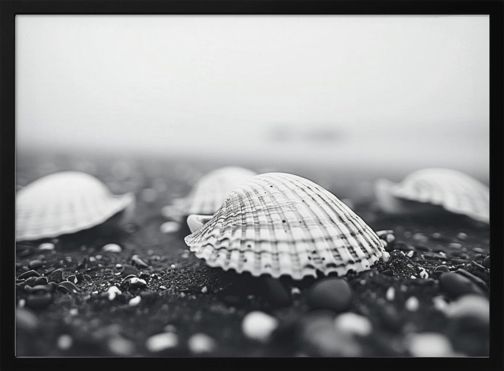 Zeeschelpensereniteit | Poster