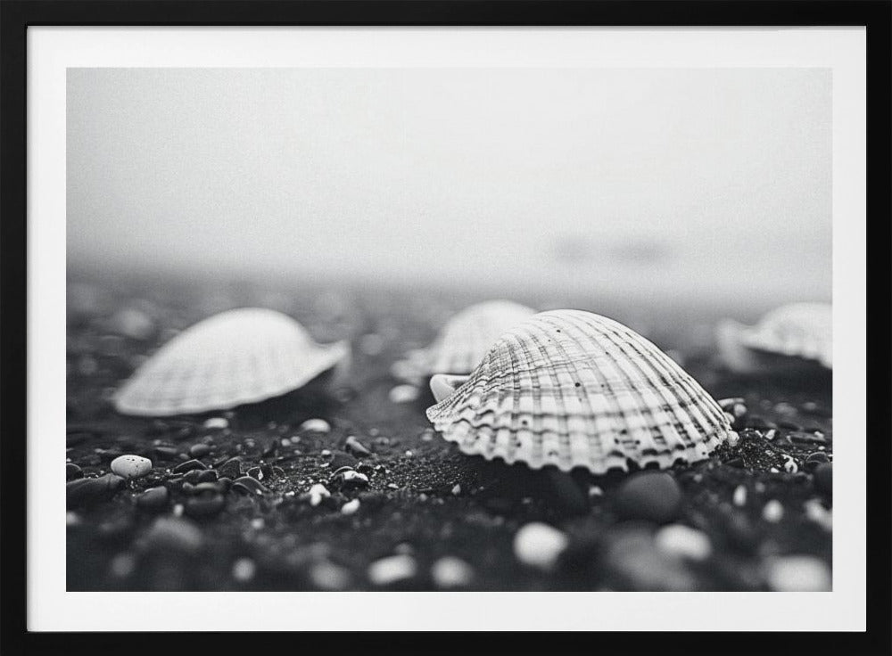 Zeeschelpensereniteit | Poster