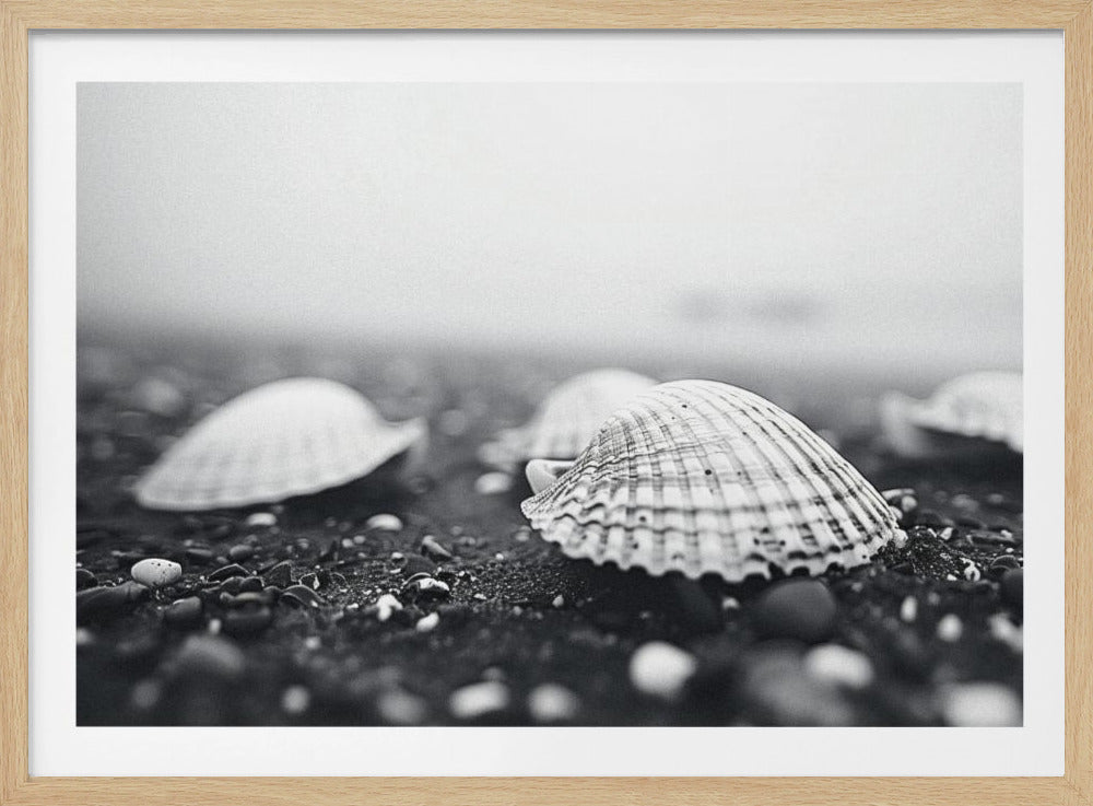 Zeeschelpensereniteit | Poster