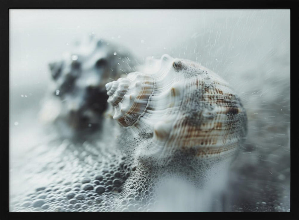 Schelpen in oceaanmist | Poster