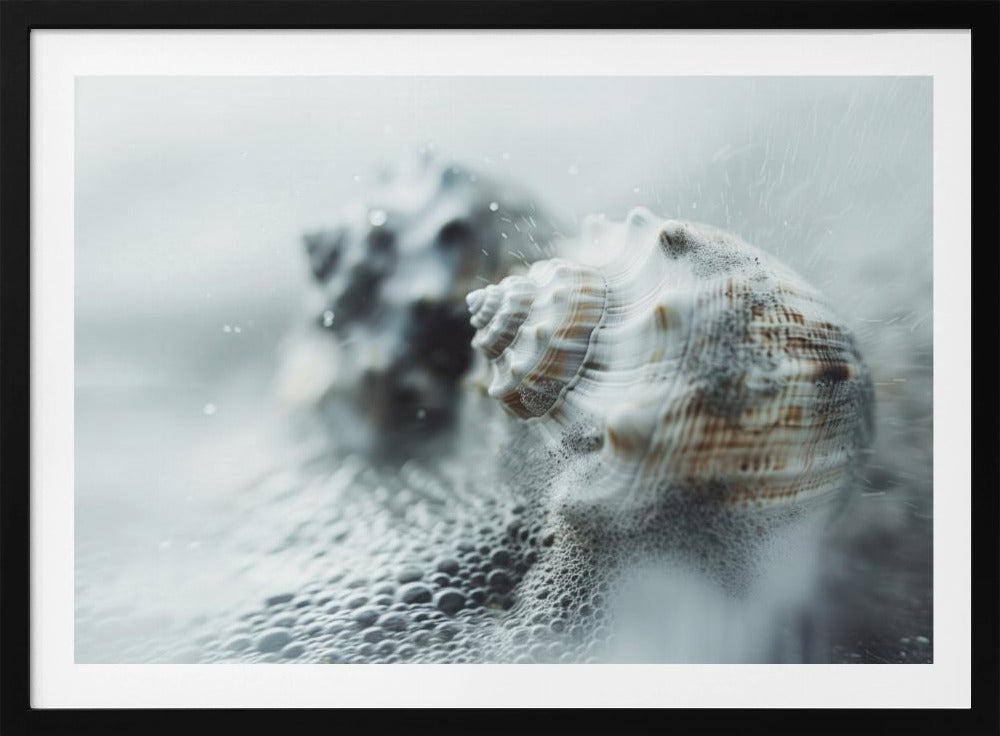 Schelpen in oceaanmist | Poster