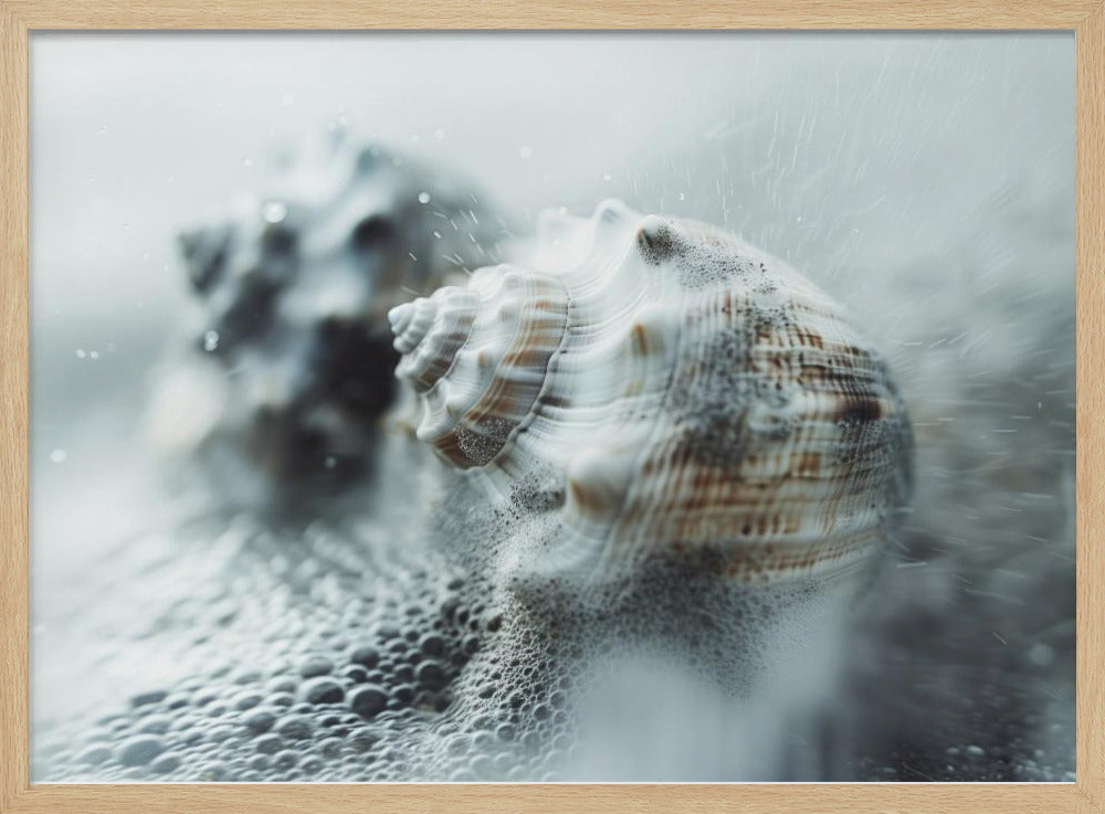 Schelpen in oceaanmist | Poster