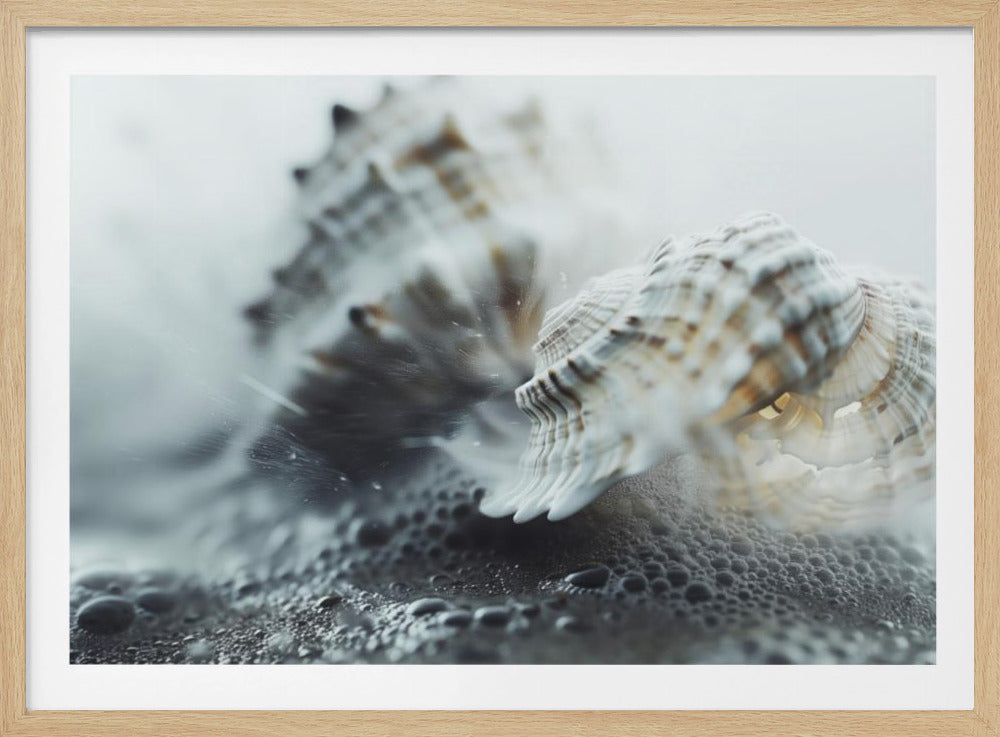 Zeeschelpensereniteit | Poster