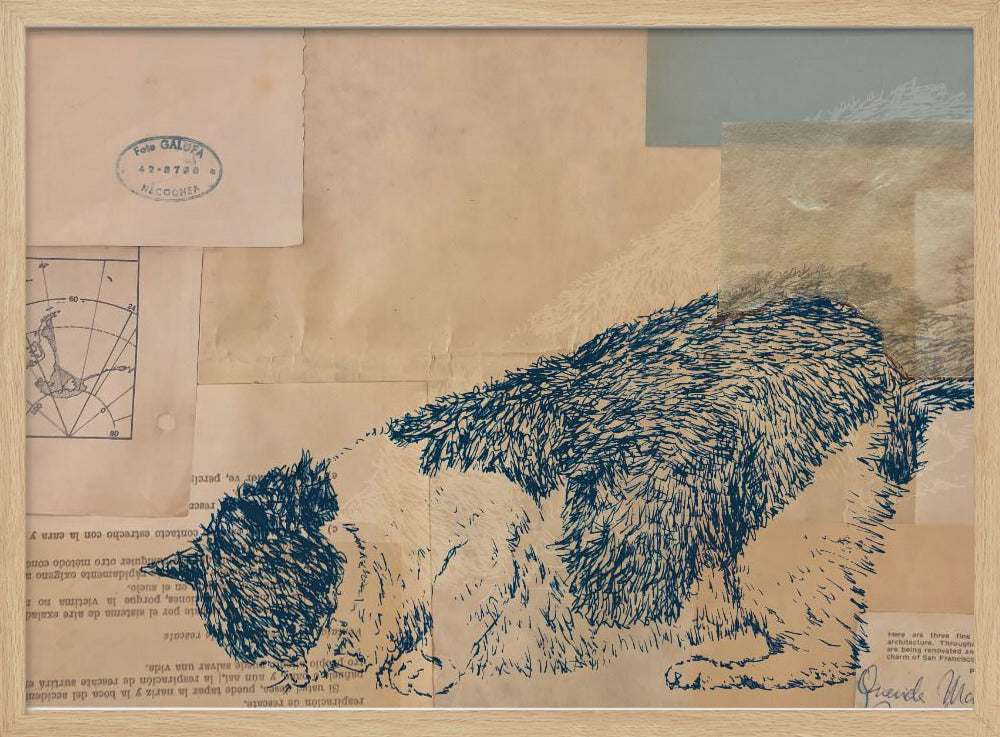 Curious Cat Collage | Poster