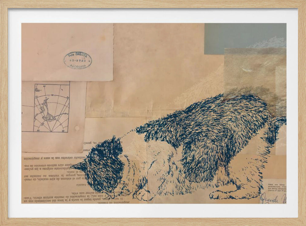 Curious Cat Collage | Poster