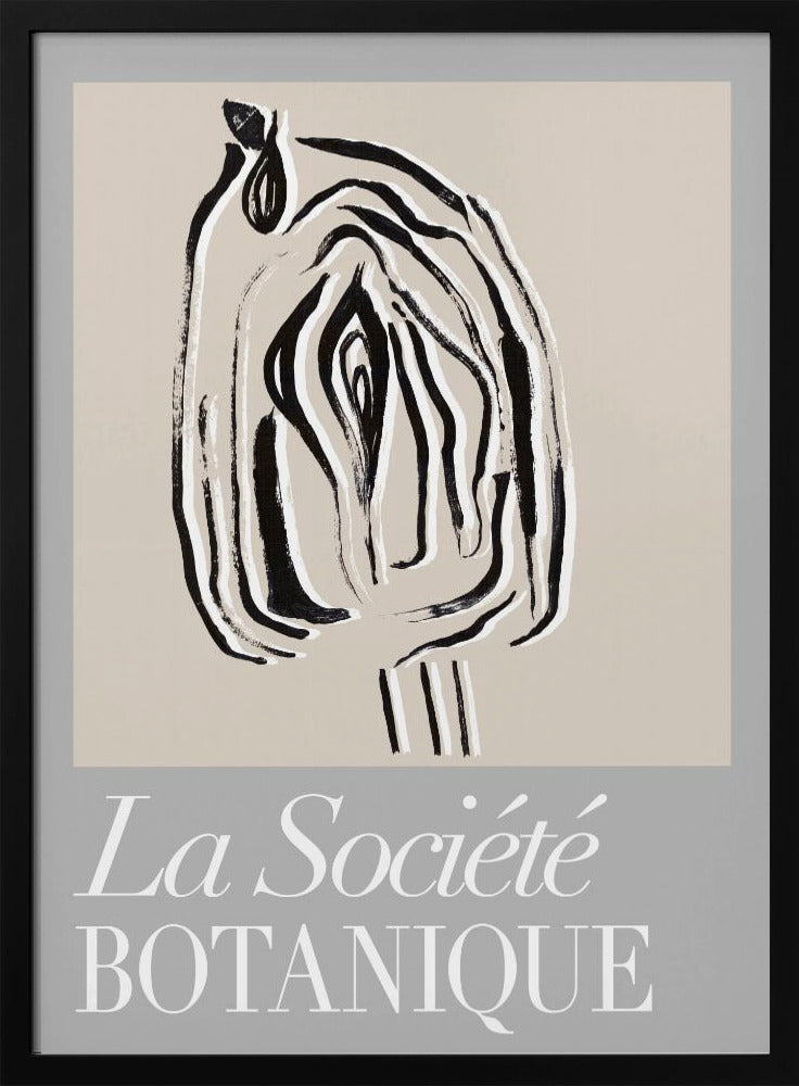 Zaadpod van La Société Botanique | Poster