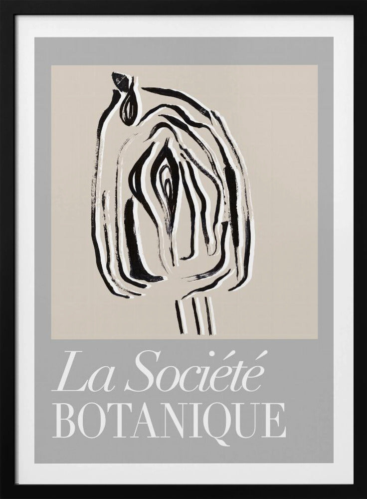 Zaadpod van La Société Botanique | Poster
