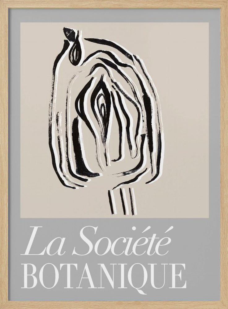 Zaadpod van La Société Botanique | Poster