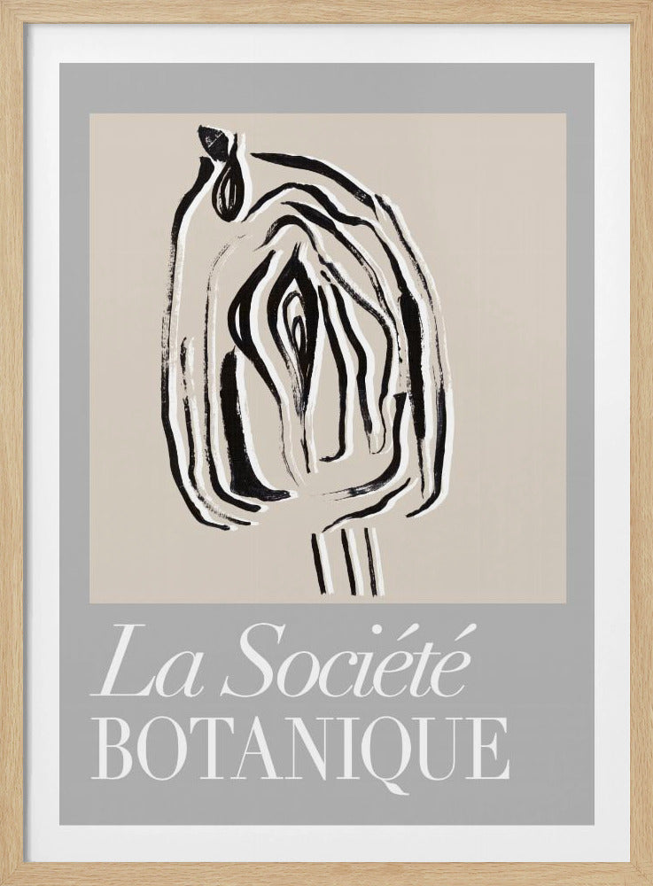 Zaadpod van La Société Botanique | Poster