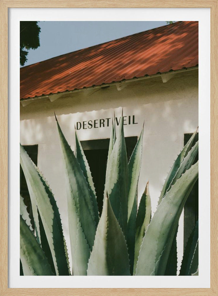 Woestijnsluier | Poster