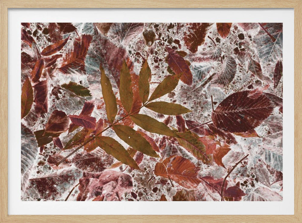Herfstbladeren | Poster