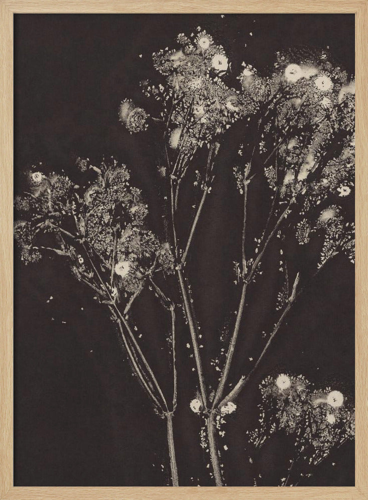 Bloemenfluisteringen | Poster