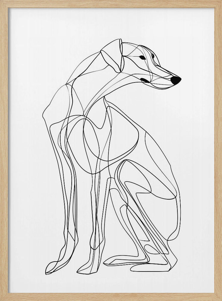 Lijnhond | Poster