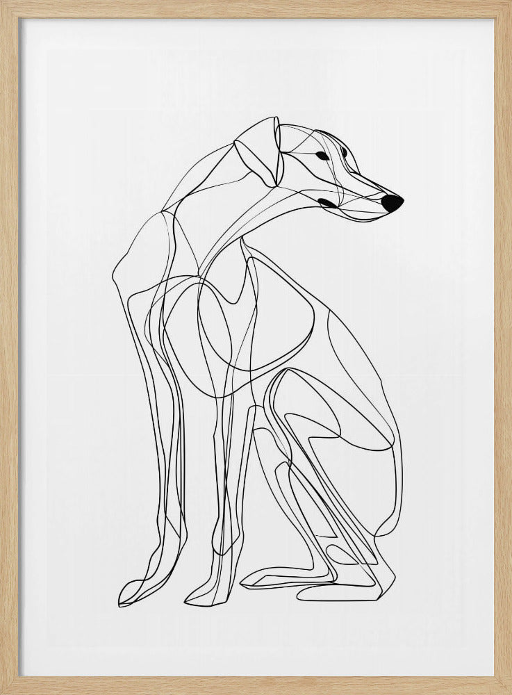 Lijnhond | Poster