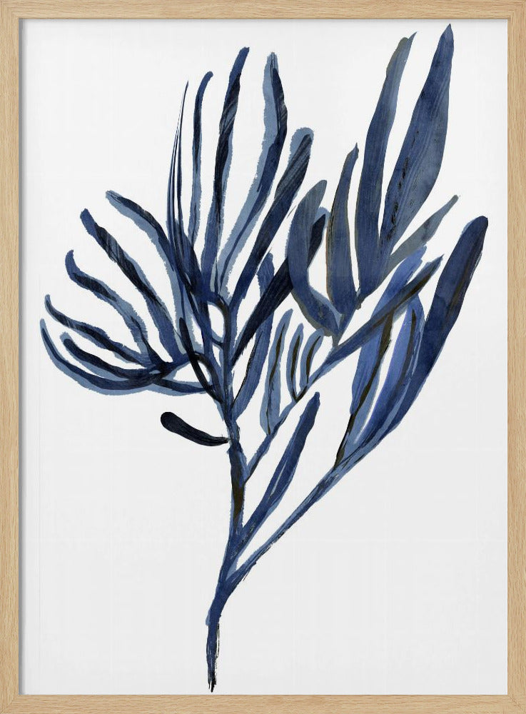 Blauwe waterplant poster 2 | Poster