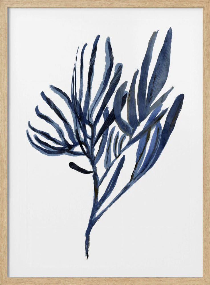 Blauwe waterplant poster 2 | Poster