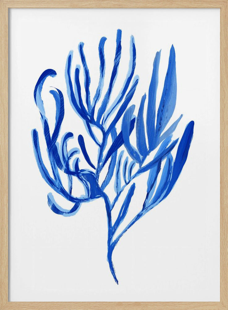Blauwe waterplant poster 4 | Poster