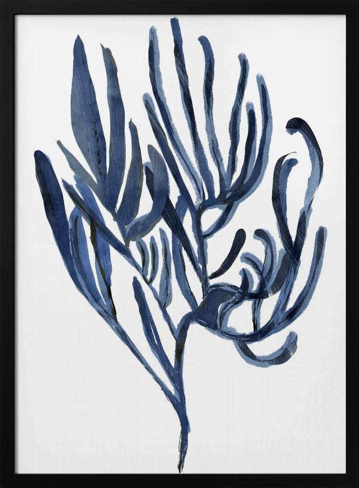 Blauwe waterplant poster 3 | Poster