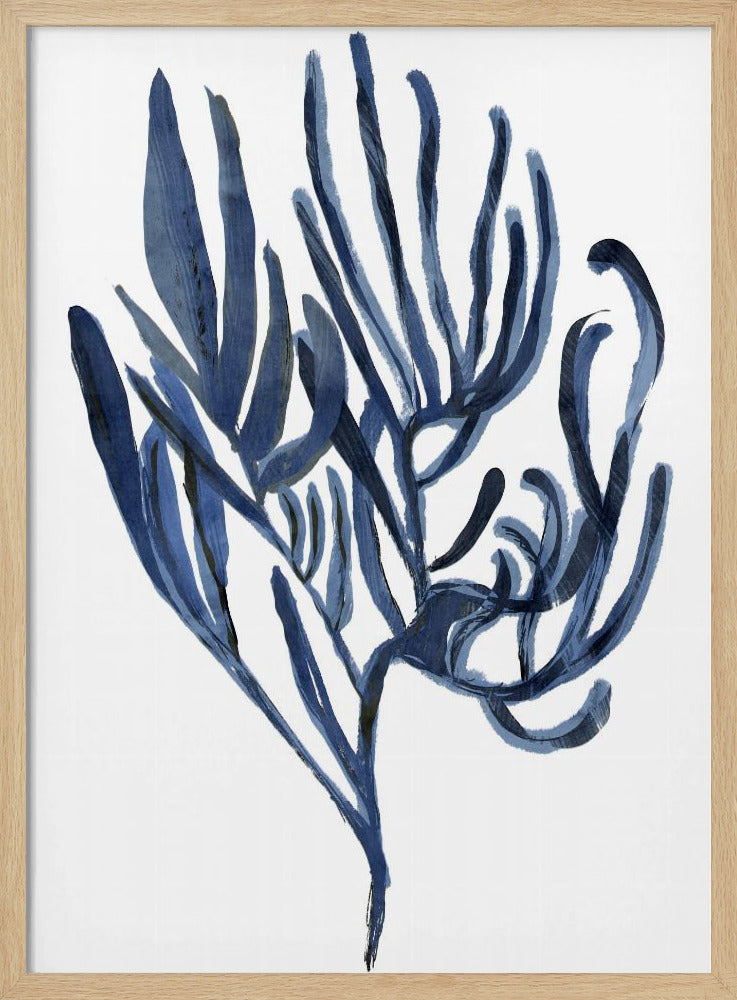 Blauwe waterplant poster 3 | Poster