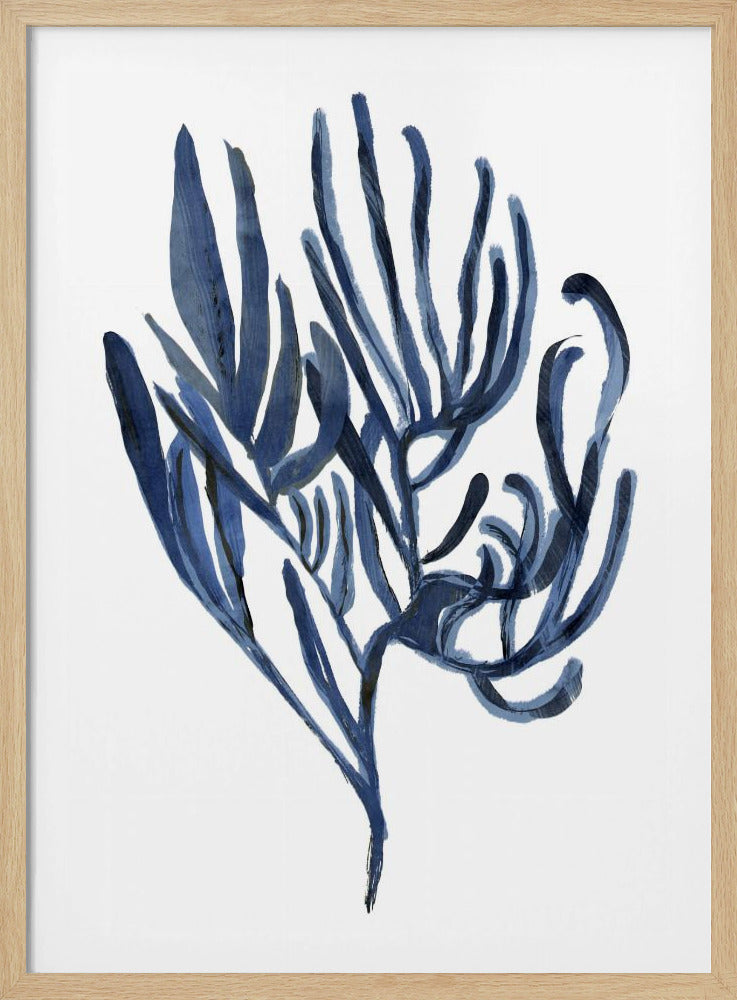 Blauwe waterplant poster 3 | Poster