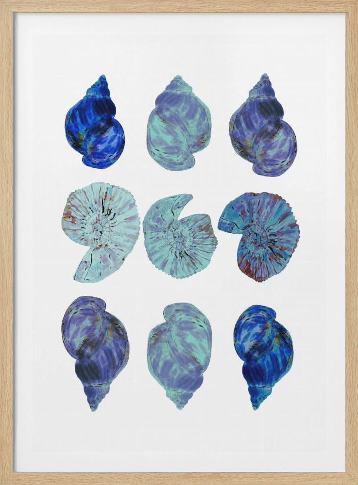 Poster met blauwe schelpen | Poster