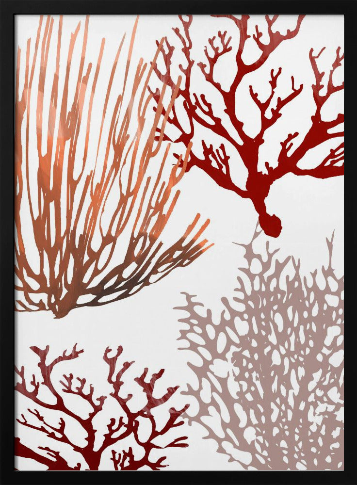Roze en rood zeekoraal | Poster