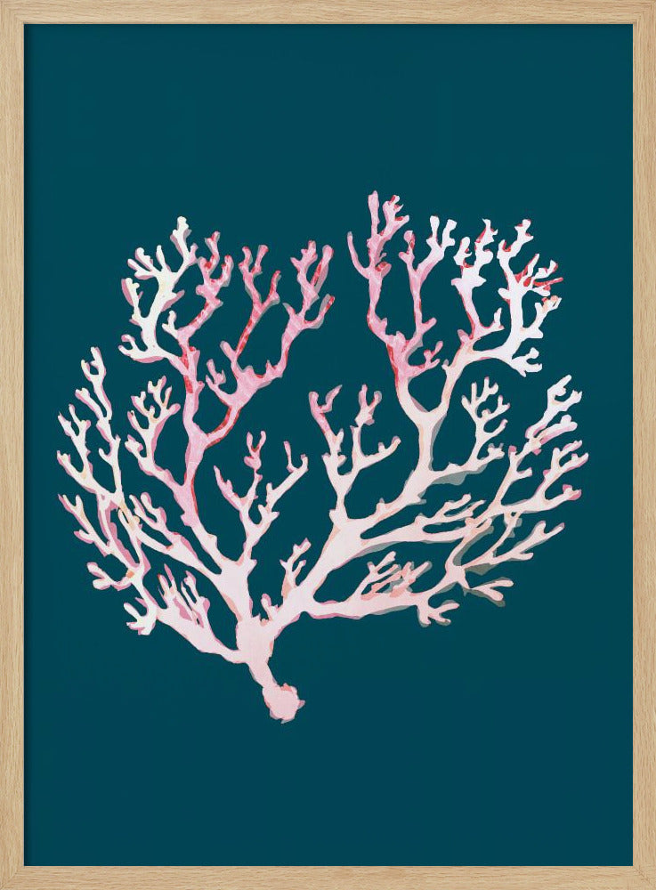 Zeekoraal Poster 1 | Poster