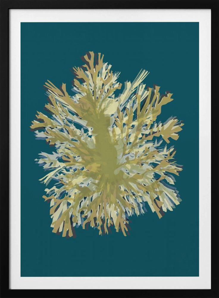 Zeewierposter 1 | Poster