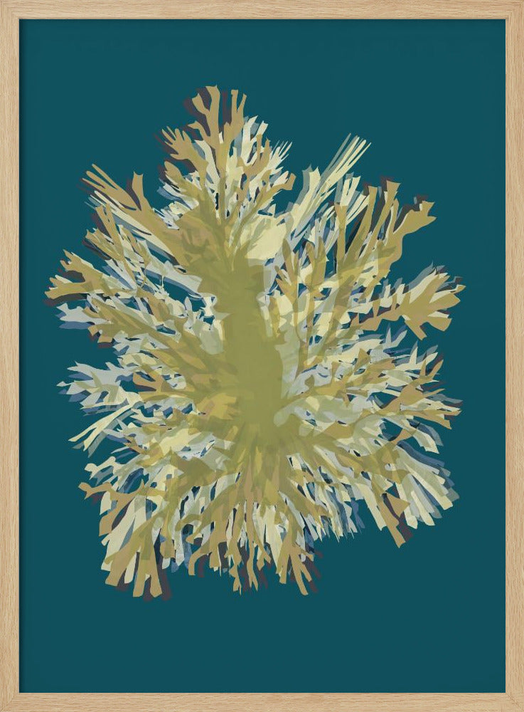Zeewierposter 1 | Poster
