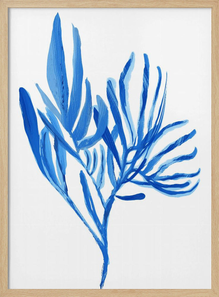 Blauwe waterplant poster 5 | Poster