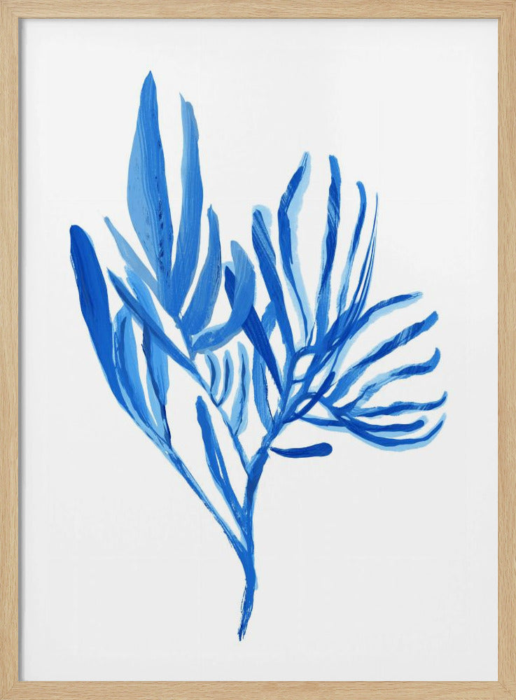 Blauwe waterplant poster 5 | Poster