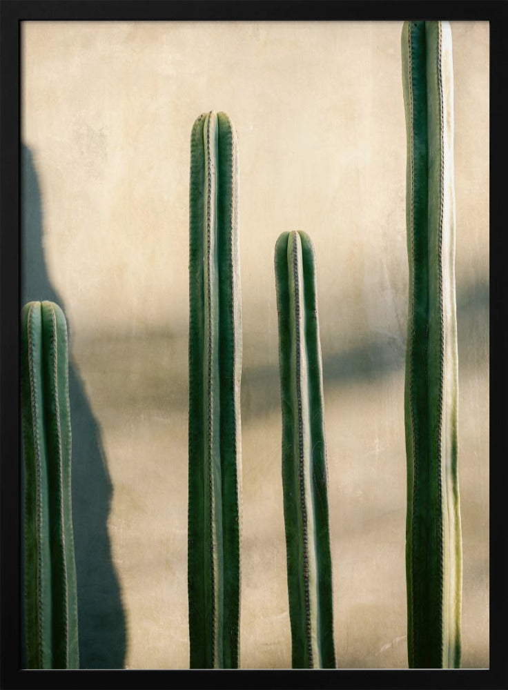 Oaxaca tinten groen | Mexico reisfotografie | Poster
