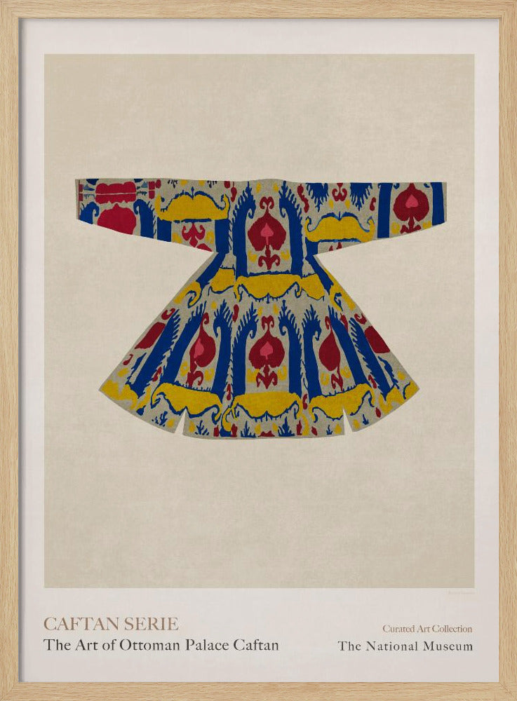 Versierde Ottomaanse kaftan | Poster