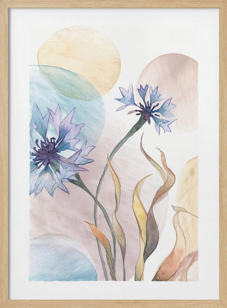 Aquarel Korenbloemen | Poster
