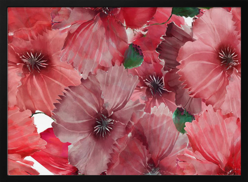 Grote rode bloemen 2 | Poster