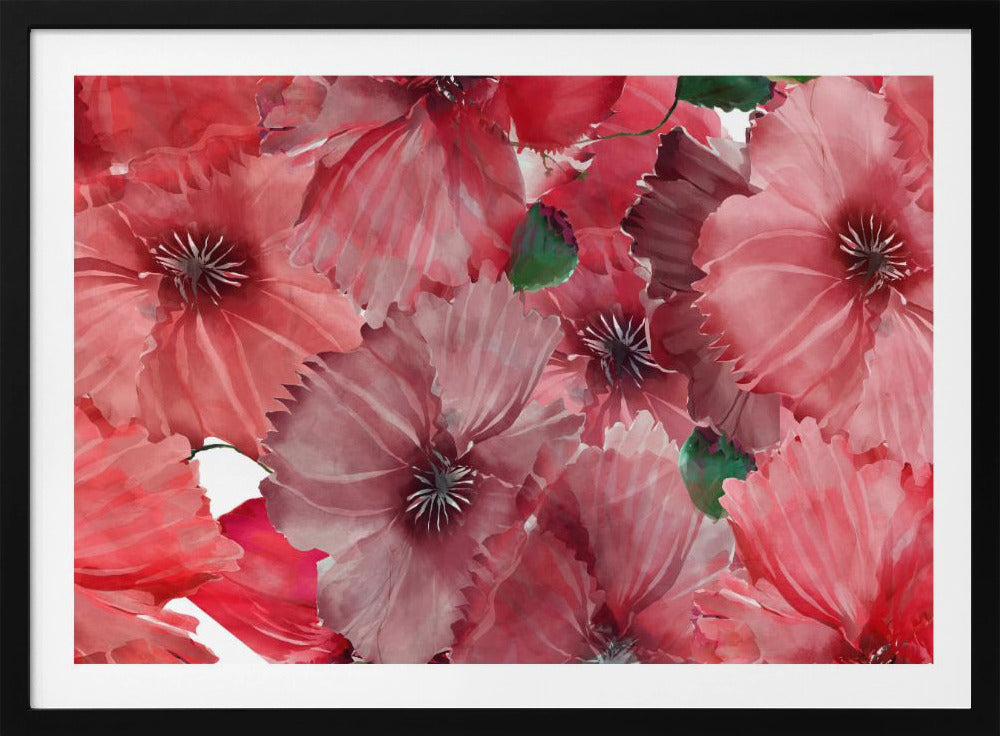 Grote rode bloemen 2 | Poster