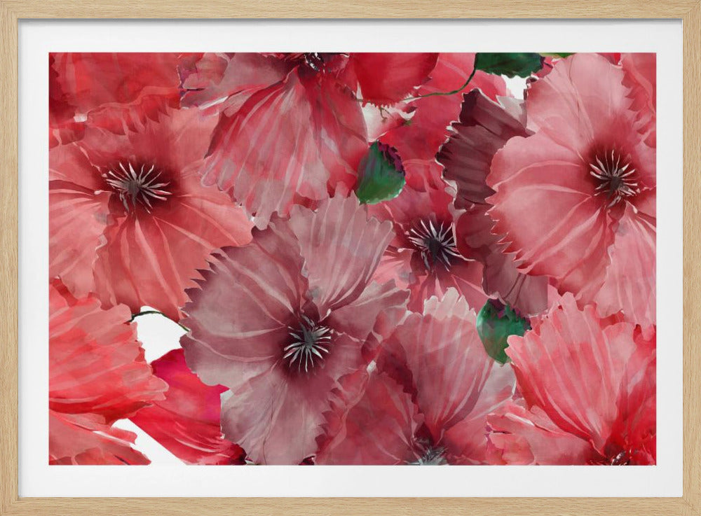 Grote rode bloemen 2 | Poster