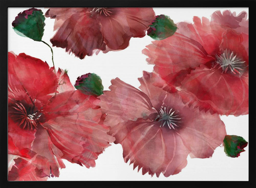 Grote rode bloemen 1 | Poster