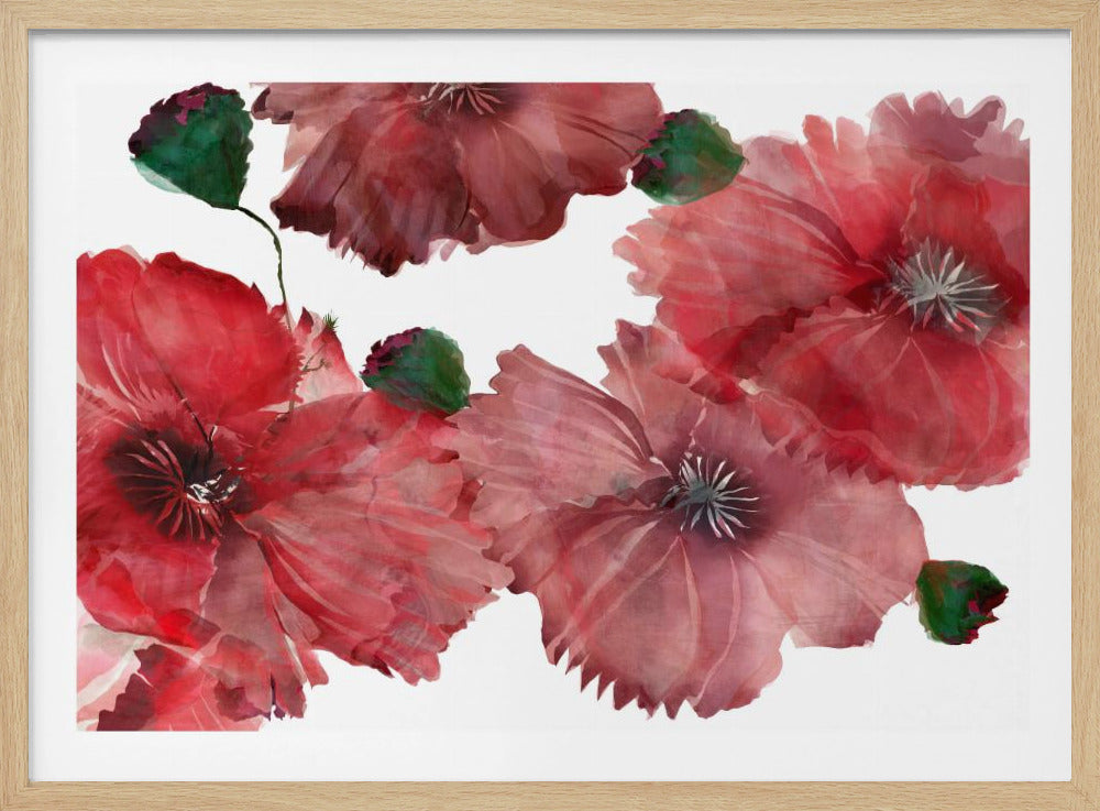 Grote rode bloemen 1 | Poster