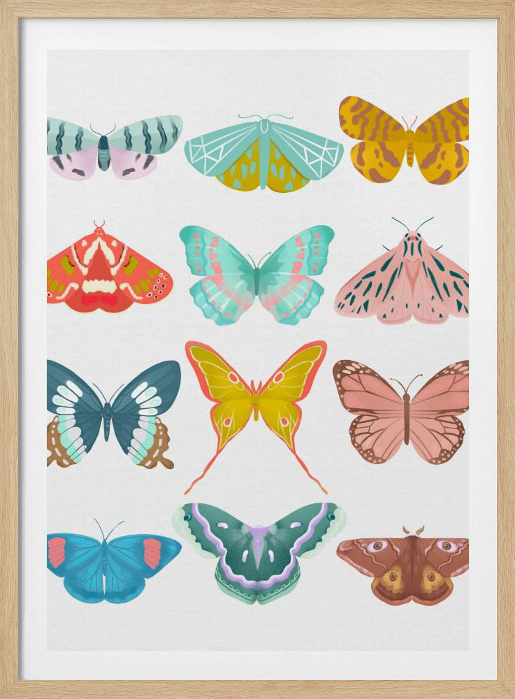 Vlinder | Poster