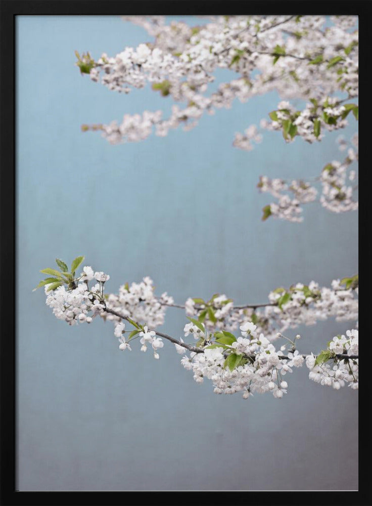Colorful Spring 14 | Poster