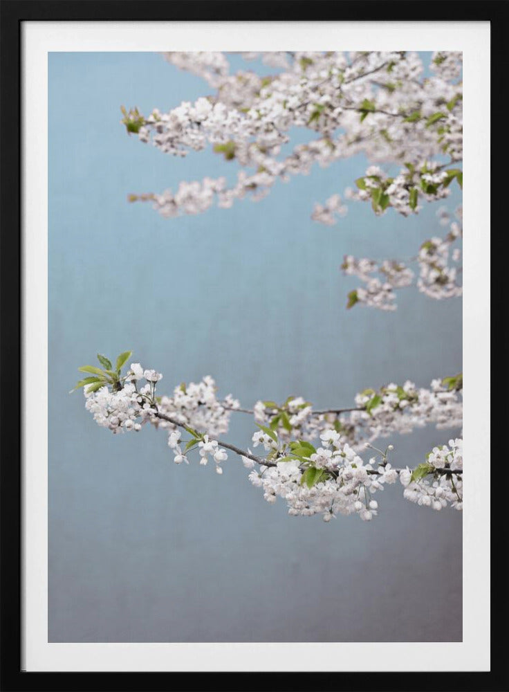 Colorful Spring 14 | Poster