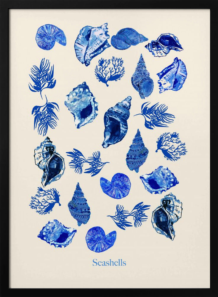 Schelpenposter | Poster