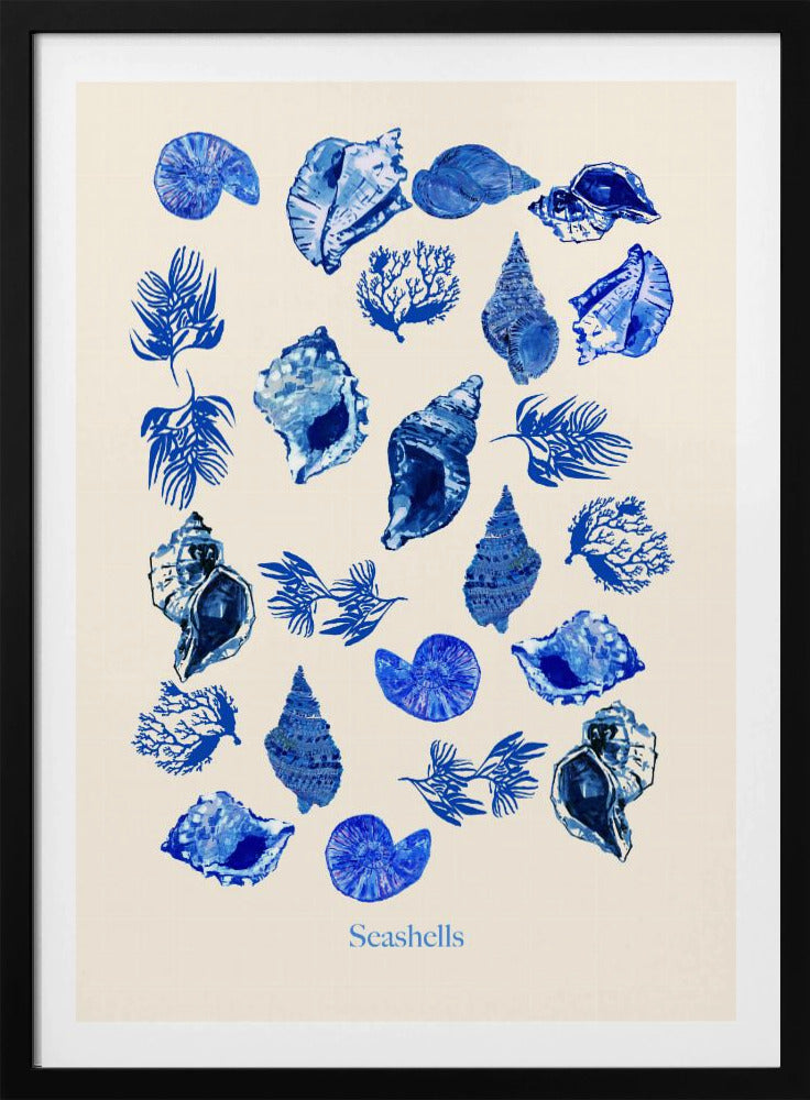 Schelpenposter | Poster