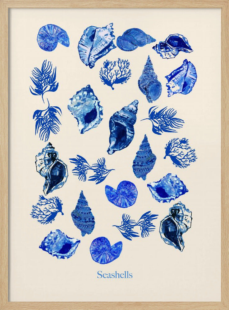 Schelpenposter | Poster