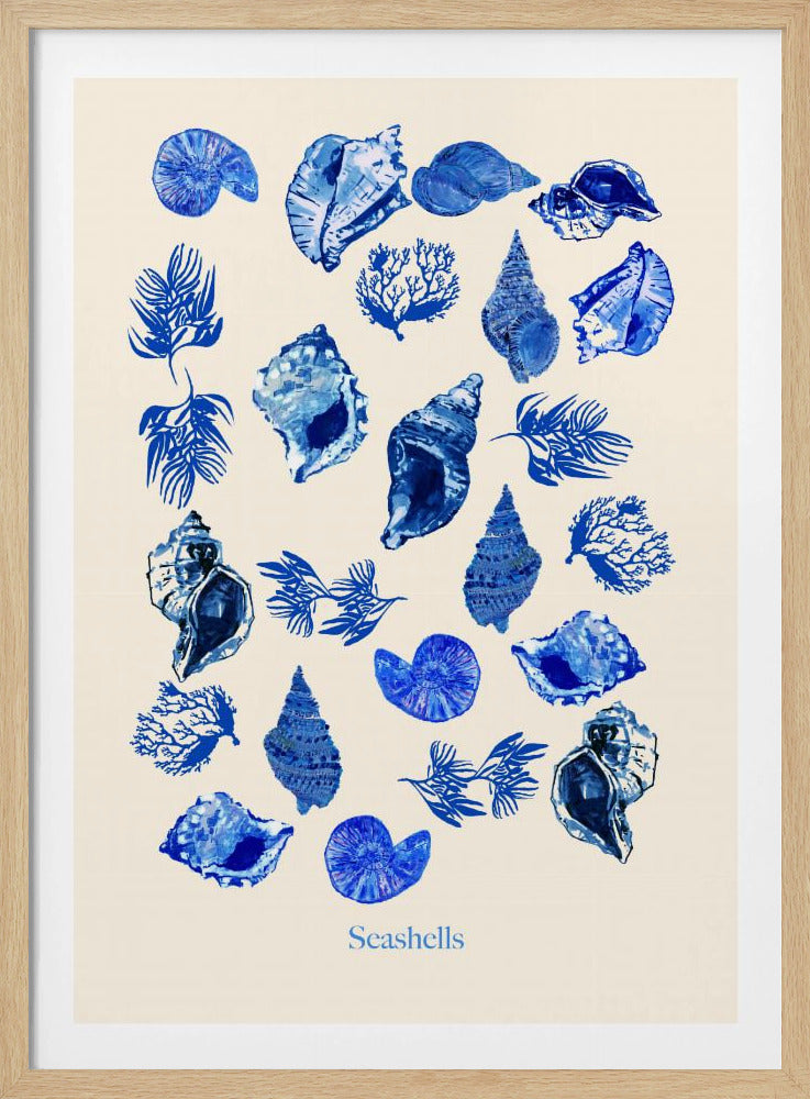 Schelpenposter | Poster