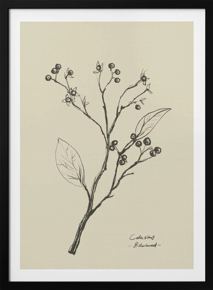 Bloemen 2 | Poster