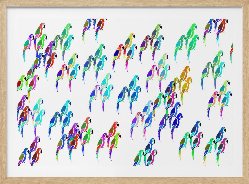 Parkietenmix | Poster