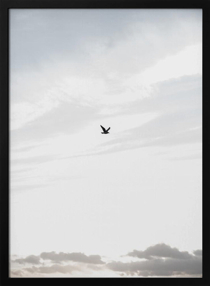 Hoog vliegen | Poster