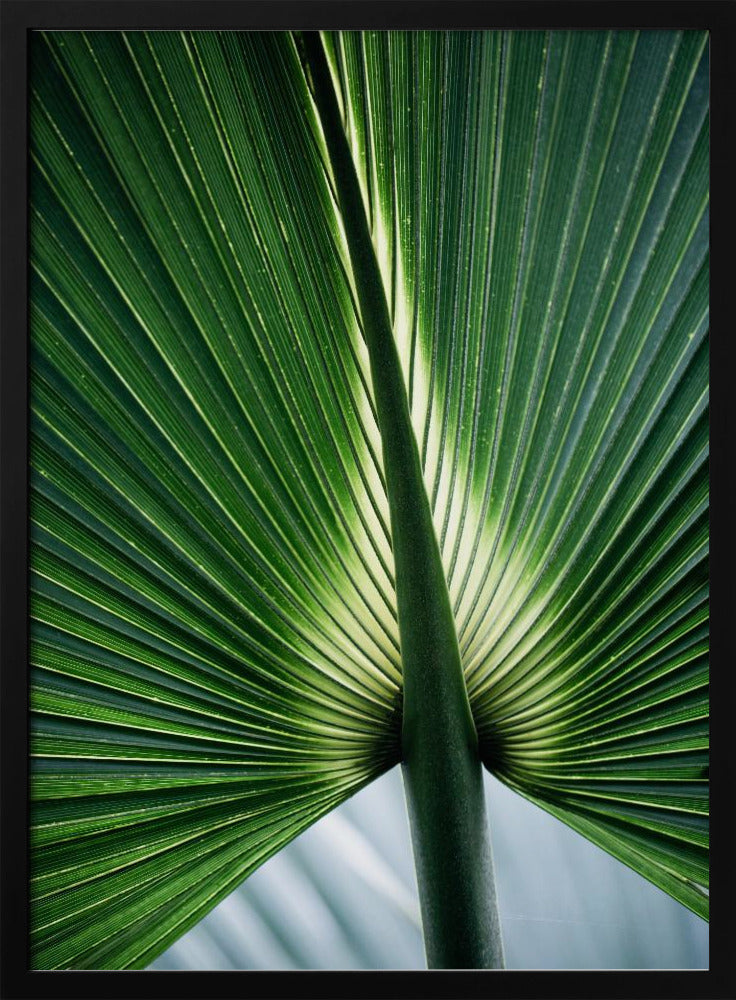 Leaves 12 | Poster